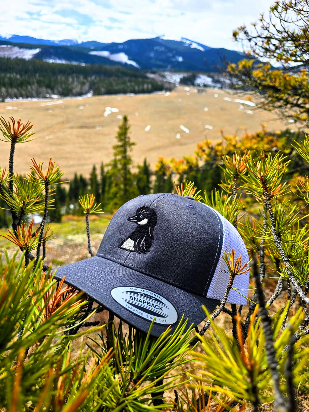 Gooseneck Snapback