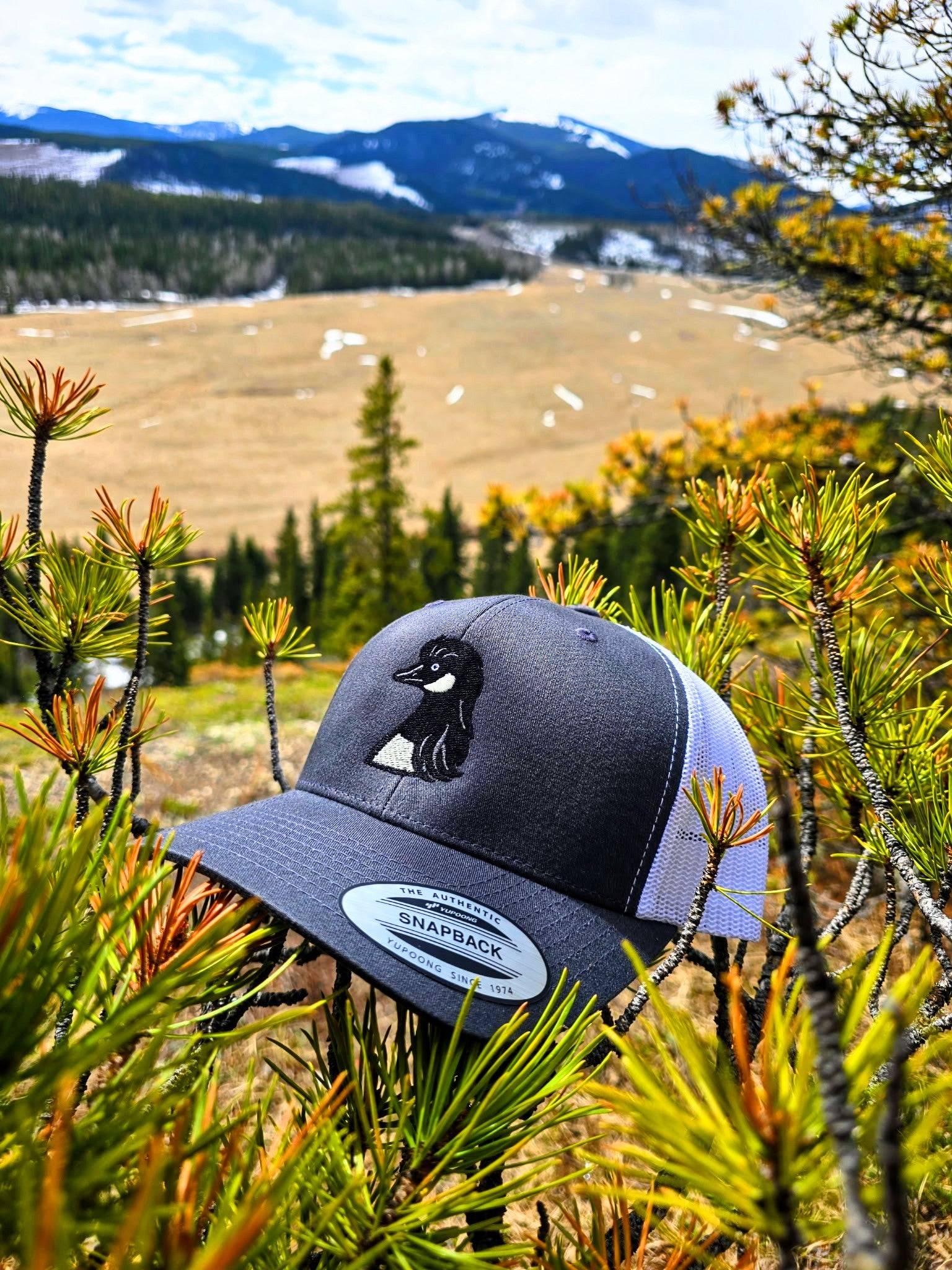 Gooseneck Snapback