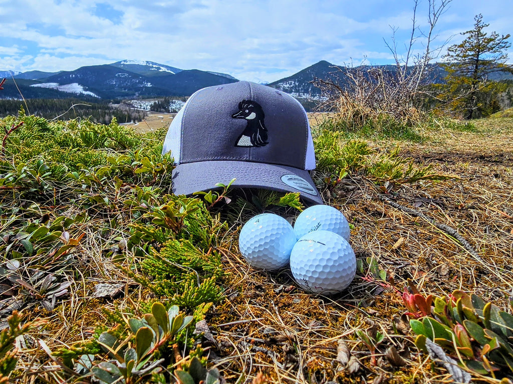Gooseneck Snapback