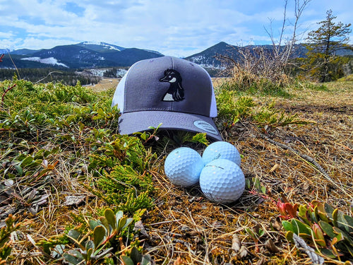 Gooseneck Snapback
